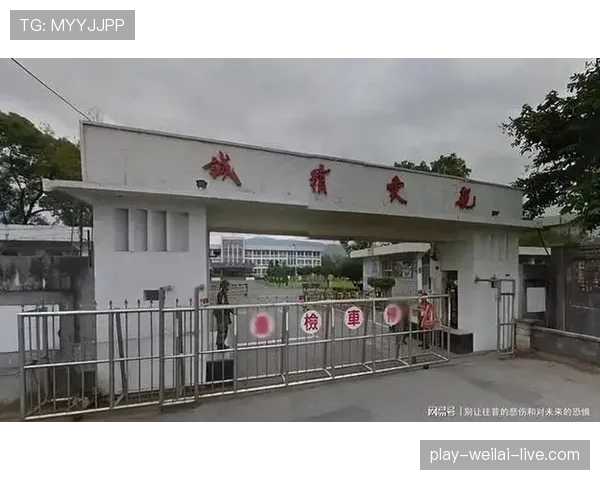 三秒区规则怎么算犯规？新手如何快速理解禁区限制